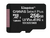 Карта памяти Kingston Canvas Select Plus microSDXC 256 ГБ